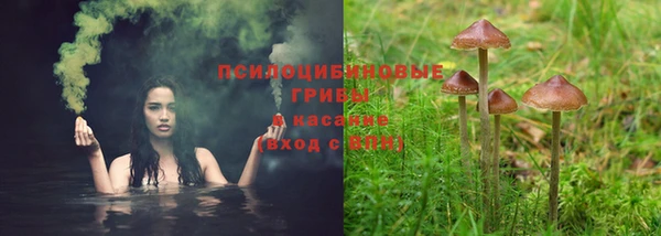 твердый Арсеньев