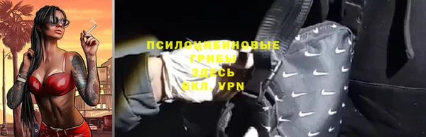 твердый Арсеньев