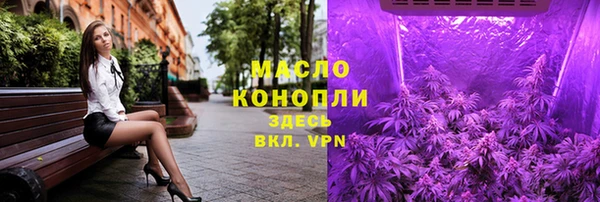 твердый Арсеньев