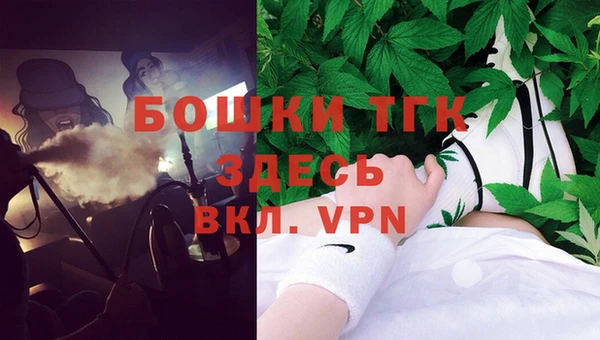 твердый Арсеньев