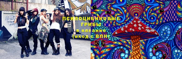 твердый Арсеньев