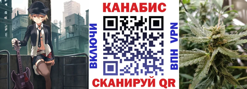Каннабис сатива  Купить закладки  Стародуб 